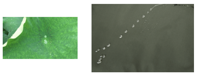 beats365医用纺织