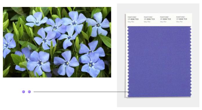 beats365纺织面料