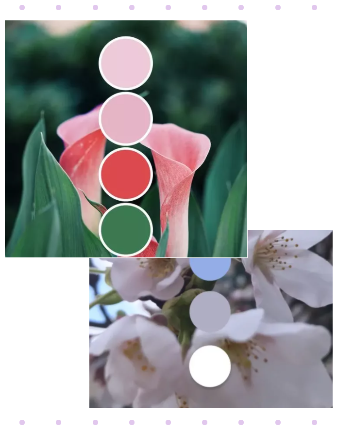 beats365纺织面料