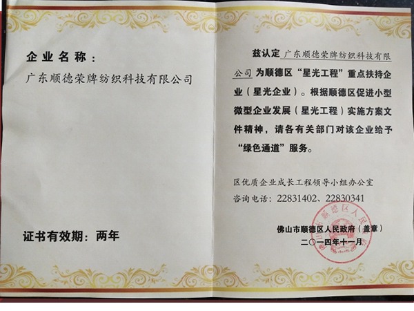 beats365荣获政府重点扶持企业